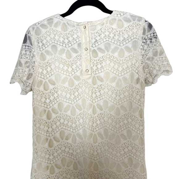 ZARA Womens Cream Lace Short Sleeve Shift Dress - Picture 6 of 11